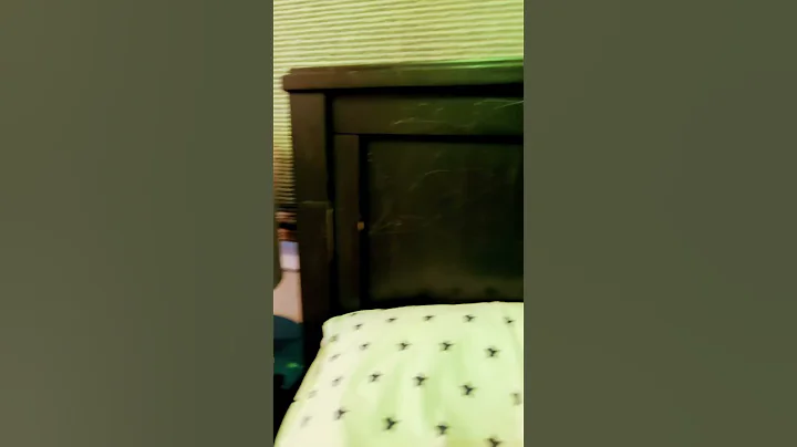 There's no way #shorts #trending #funny #fypシ #foryou #cat #animals #anime #cute #comedy #memes