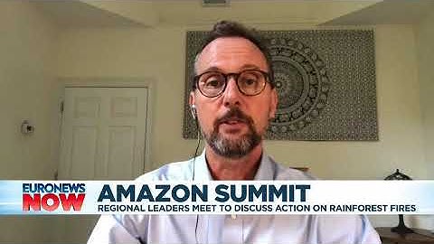Euronews: Nigel Sizer on the Amazon Summit – September 6, 2019