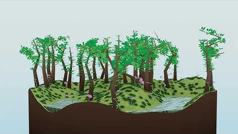 Procedural Forest [Blender]