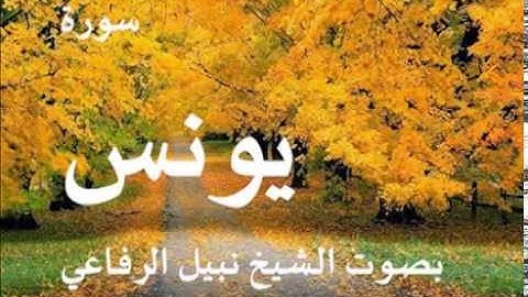 سورة يونس بصوت الشيخ / نبيل الرفاعي 10