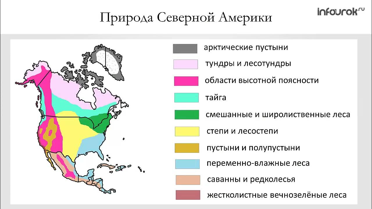 Особенности природы северной америки природные зоны. Карта природных зон Северной Америки. Природные зоны Северной Америки карата. Карта природных зон Америки. Карта природных зон Сев Америки.