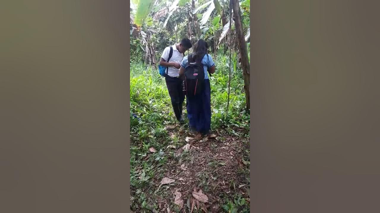 distrito kankintu YouTube