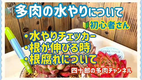 تحميل これはな 誰でもそうなるんや Mp4 Mp3