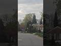 beautiful Way #best #viralvideo #springdiaries #shorts ##Way#longdrive #travel #best #viralshorts