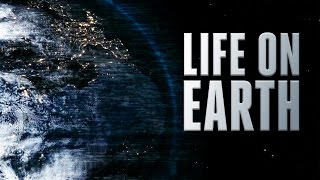 Doctor Who | Life on Earth