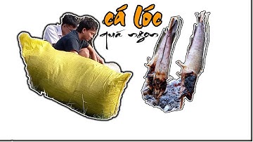 Về quê bắt CÁ nướng rơm như SANG VLOG - Món cá lóc nướng trui RƠM đơn giản mà NGON || #Vuivlogs