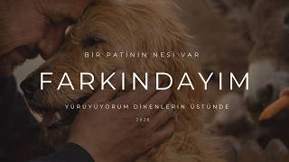 Farkındayım: Bir Patinin Nesi Var? 32 Sanatçı Ile Yürüyorum Dikenlerin Üstünde