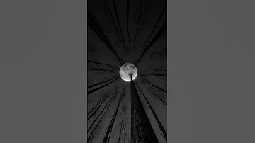 Thumbnail of Horror night in the jungle when it is full moon | #haunted #scary #fullmoon #travel #journey #viral
