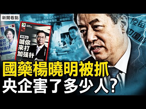 国药杨晓明被抓，央企害人谁担责？98天研发出疫苗？国药疫苗害多少人？纪云浩的两站照片，名下有3家公司，他爹究竟是谁？【新闻看点 李沐阳4.27】