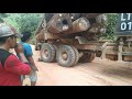 Logging truck.. Volvo NL 12 punya cerita ..