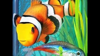 Fish Farm 2 gameplay quick look Android Ios gameplay screenshot 1