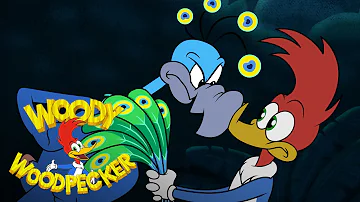 Woody Steals Peacock Feathers | Full Episode | Woody Woodpecker