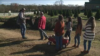 Trees for Troops provides Christmas trees to military families