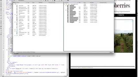 Saving a subdirectory on your site.