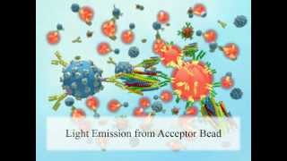 AlphaLISA Assay Animation with voice.wmv