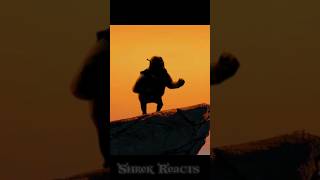 Master Shifu trains Shrek