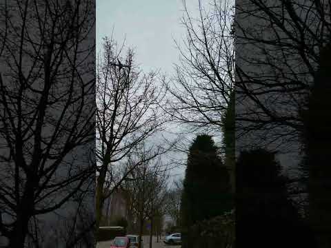 Amstelveen Amsterdam