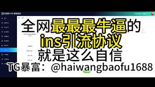 INS私信工具评测 | 提升社交互动效率的秘诀