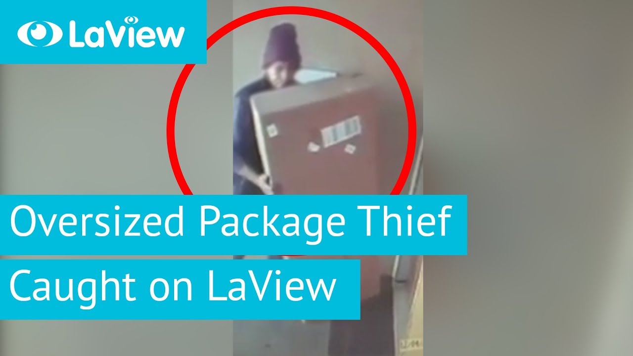 Oversized Package Thief | Caught on LaView