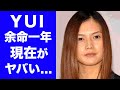 【驚愕】YUIが突然宣告された"余命一年"の真相に涙が止まらない...人気シンガーソングライターのまさかの現在や再婚までの経緯に一同驚愕！