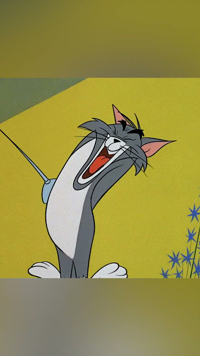 Quadro Tom And Jerry Desenho Animado Anos 80 Cartoon Gato