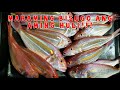 VLOG 057- Catching Threadfin Bream or Bisugo sa Long Line/Labay/ Kitang/ Palangre|Capiz Beaches