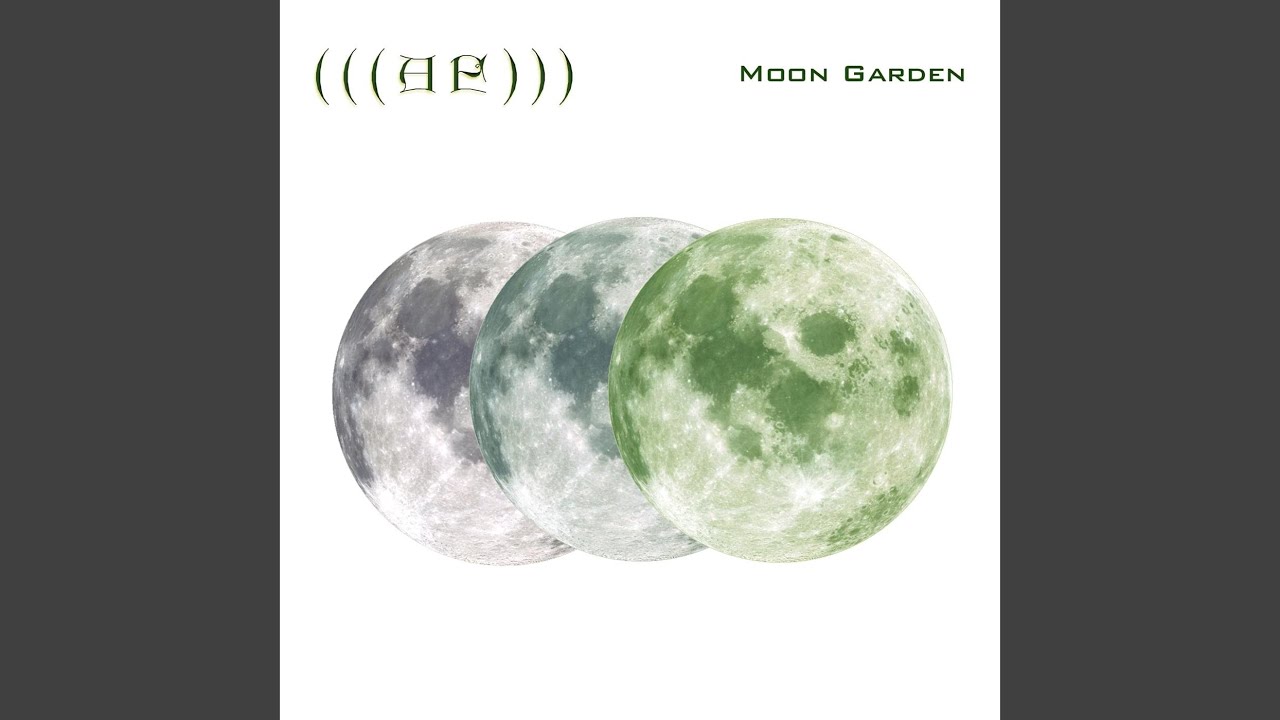 Moon слушать. Сады луны слушать. Малазанская книга сады луны. Сады луны слушать. Сады луны слушать.