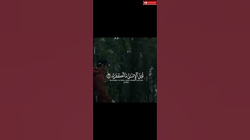 تلاوات مبكية للقارئ طارق محمد||أجمل حالات واتس اب قرآن كريم.