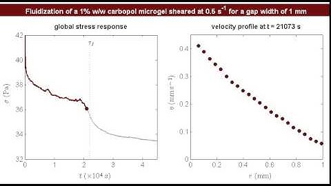Shear Banding of Complex Fluids: Supplemental Video 1