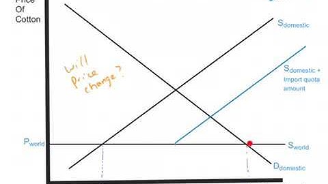 Import Quota Explainer