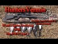 Air Rifle Hunting, Wood Pigeon Decoying With The HW97 part 3