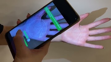 Agentic Biometric Authentication