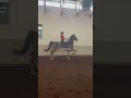 I won’t be showing him this season.