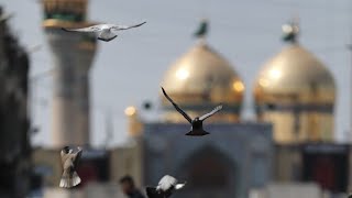 MOSQUE - No Copyright Video Background Islamic 4k ▶️ 2