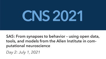 2021 CNS Tutorial SA5: Day 02 | From synapses to behavior