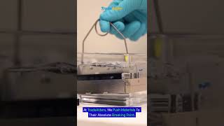 Your product looks great. But can it pass a lab test? #labtesting