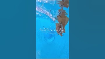 تلاوة تهز القلوب من القرآن الكريم #القرآن#القرآن_الكريم#تلاوة#تلاوة_خاشعة#كلام_الله
