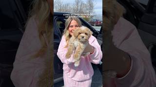 The Newest Member Of The Family Meet Gouda