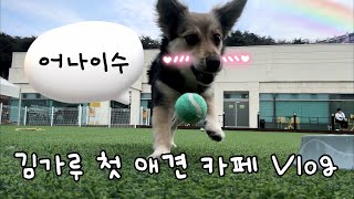 마구 마구 뛰어댕길 수 있는 가루의 첫 애견 카페  | 펫프닝 타운 | 강아지랑 대중교통 타기 | 유기견 첫 애견 카페