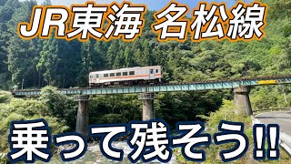【すぐるの気まぐれ鉄道チャンネル】JR東海 名松線 / 乗って残そう名松線。