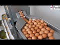 RX-0 Yumurta Kırma Ayırma Makinesi - Egg Breaking And Seperate Machine