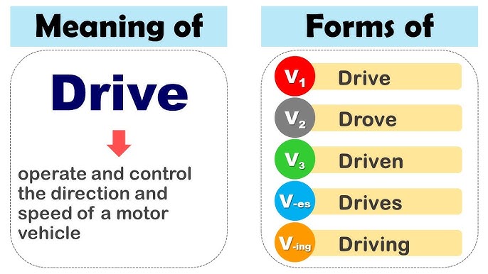 Could Have V3 and Example Sentences - English Grammar Here