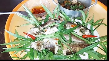 Đặc Sản Miền Tây,Cá Lóc Hập Rau Ngổ Vui Mời Cả Nhà | Vui Miền Tây Vlog