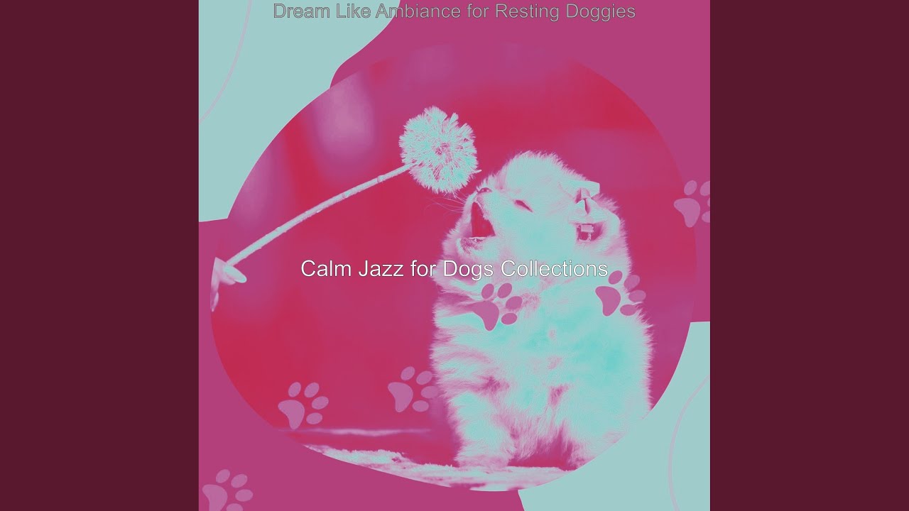 Glorious Ambiance for Calm Dogs