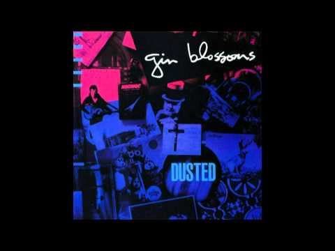 Gin Blossoms Girls Can T Wait