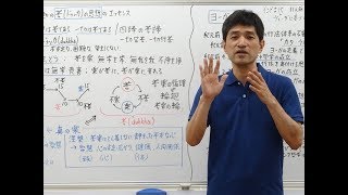 第346回『脳科学が説く人間の感情制御システムの暴走とその制御法』（171022 福岡 63min）