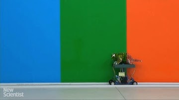 Chameleon robot changes colour to blend in