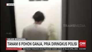 Tanam 6 Pohon ganja Pria Diringkus POlisi | REDAKSI MALAM (24/08/21)