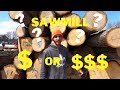 How Much Money can you make with your Own Sawmill? Lets find out!