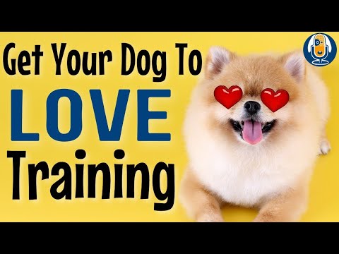 Video: De ce este vital să folosiți emoția potrivită când vă pregătiți câinele